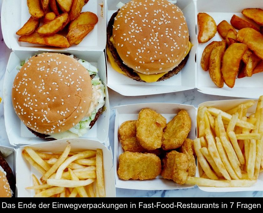 Das Ende Der Einwegverpackungen In Fast-food-restaurants In 7 Fragen