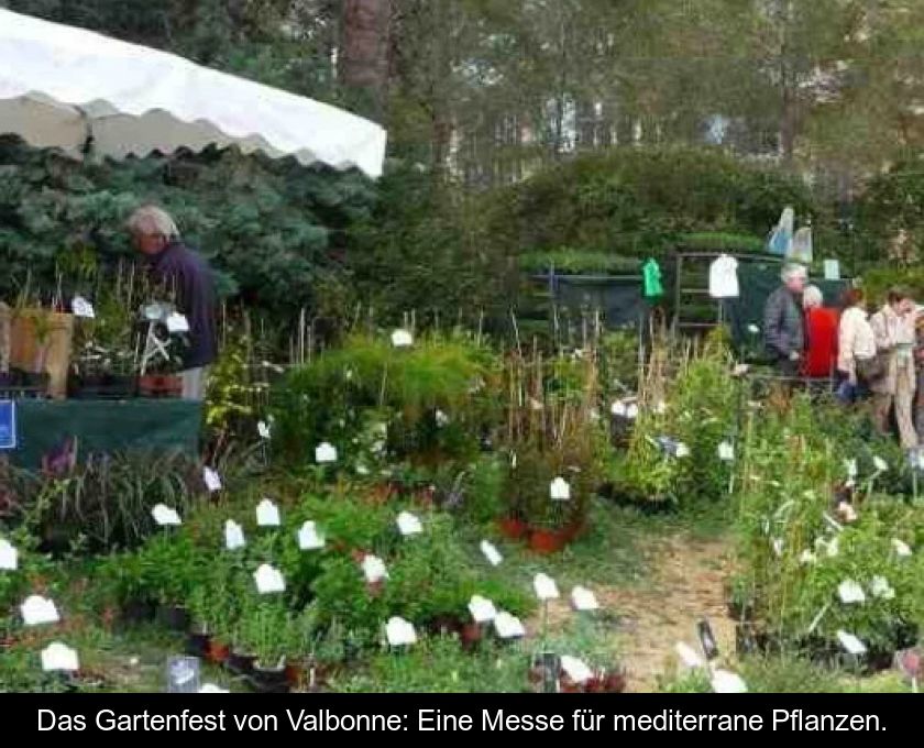 Das Gartenfest Von Valbonne: Eine Messe Für Mediterrane Pflanzen.