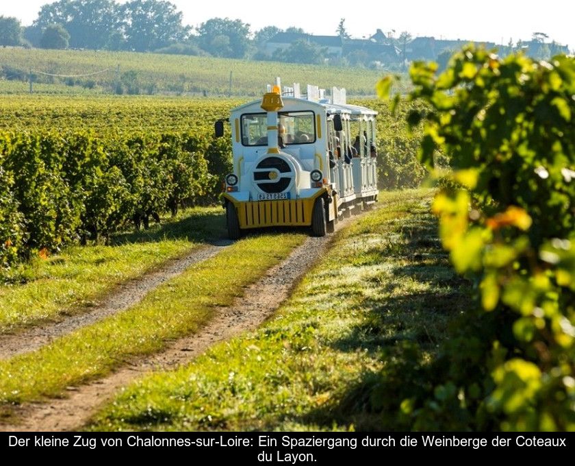 Der Kleine Zug Von Chalonnes-sur-loire: Ein Spaziergang Durch Die Weinberge Der Coteaux Du Layon.