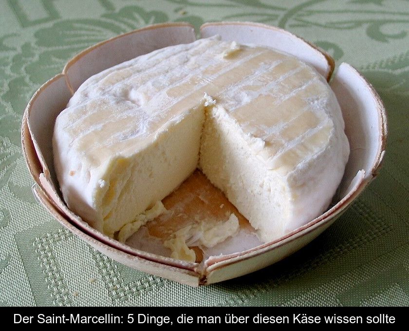 Der Saint-marcellin: 5 Dinge, Die Man über Diesen Käse Wissen Sollte