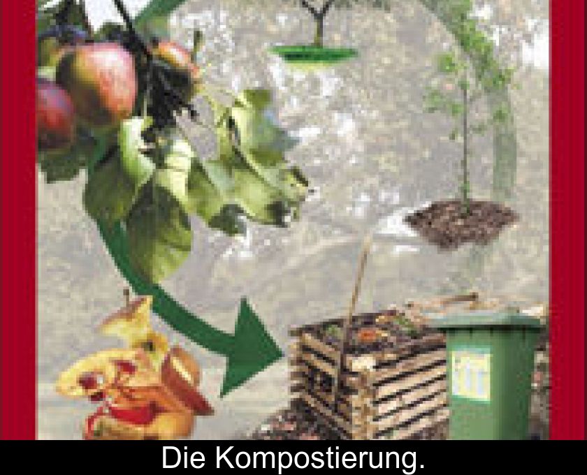 Die Kompostierung.
