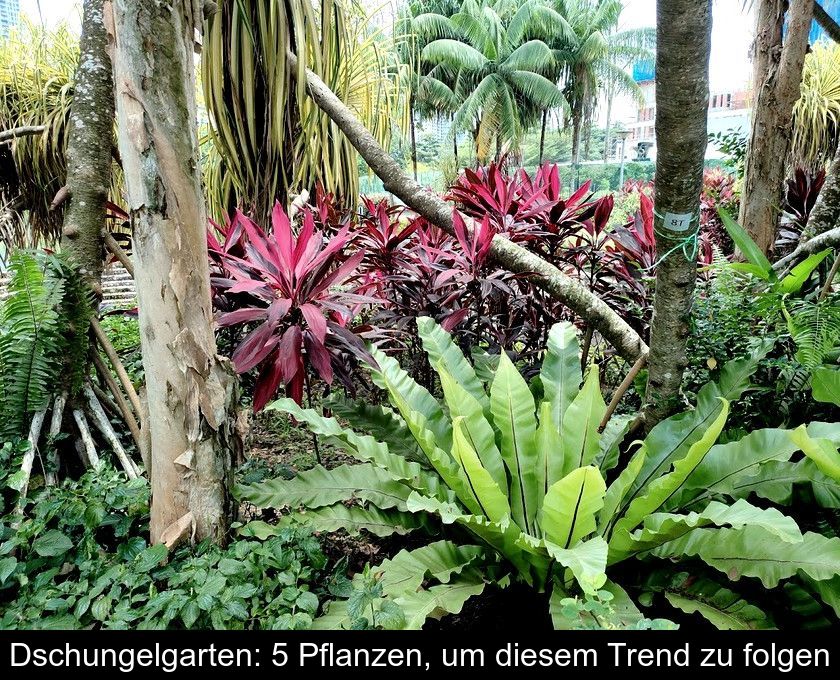 Dschungelgarten: 5 Pflanzen, Um Diesem Trend Zu Folgen
