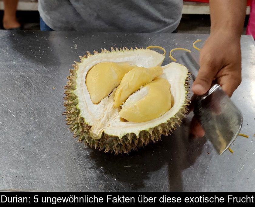 Durian: 5 Ungewöhnliche Fakten über Diese Exotische Frucht