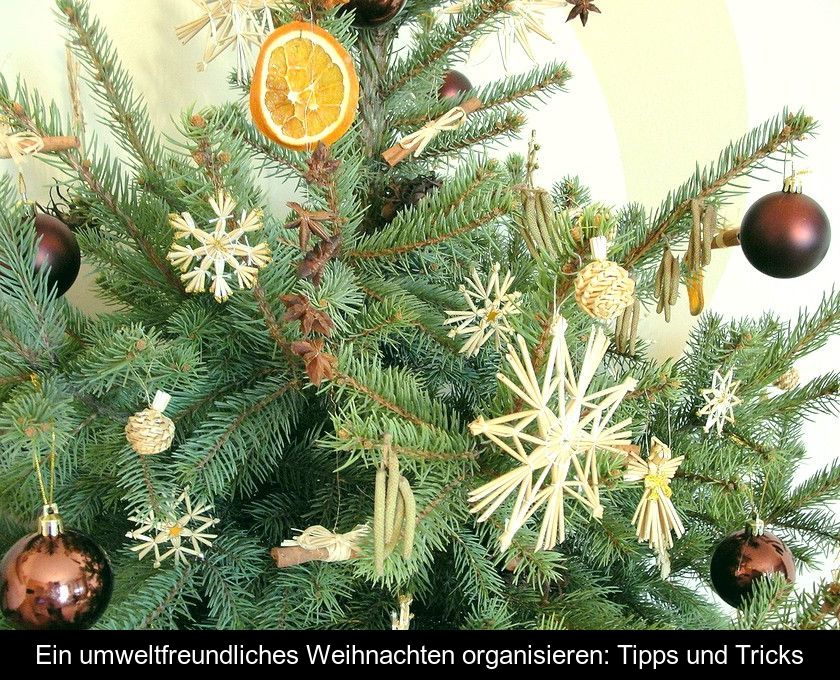 Ein Umweltfreundliches Weihnachten Organisieren: Tipps Und Tricks