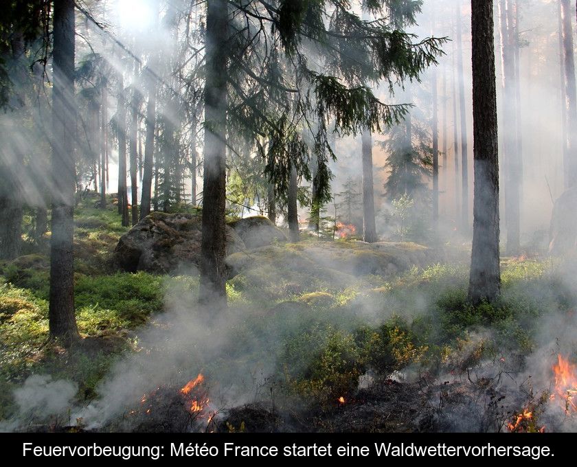 Feuervorbeugung: Météo France Startet Eine Waldwettervorhersage.