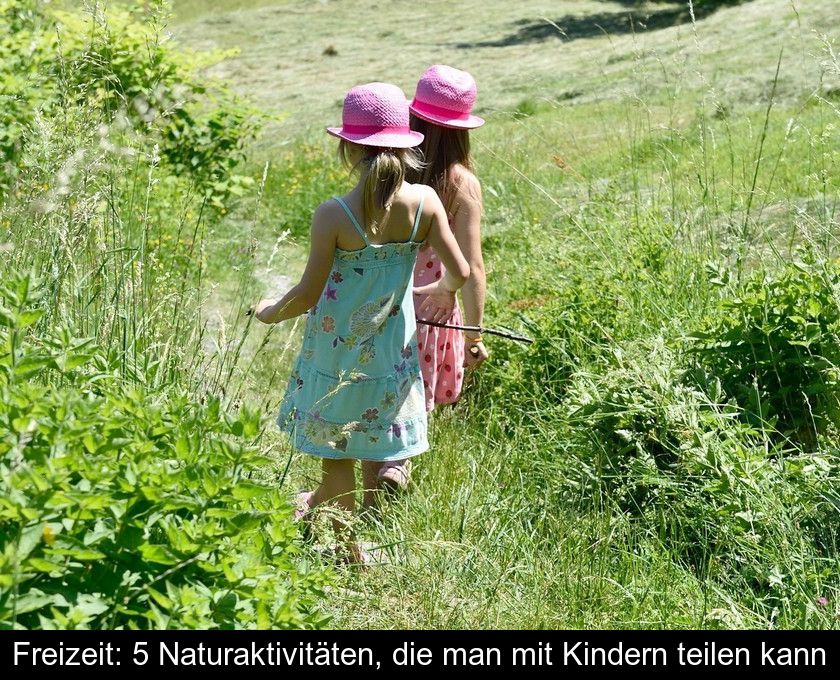 Freizeit: 5 Naturaktivitäten, Die Man Mit Kindern Teilen Kann