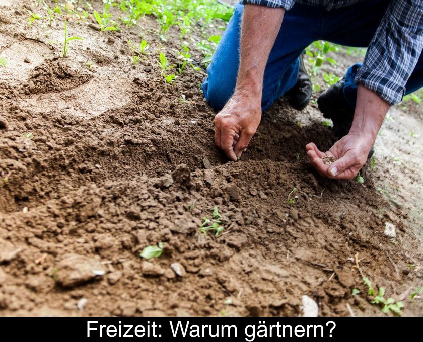 Freizeit: Warum Gärtnern?