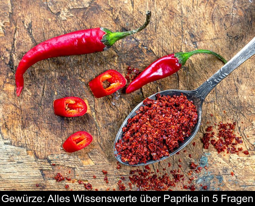 Gewürze: Alles Wissenswerte über Paprika In 5 Fragen