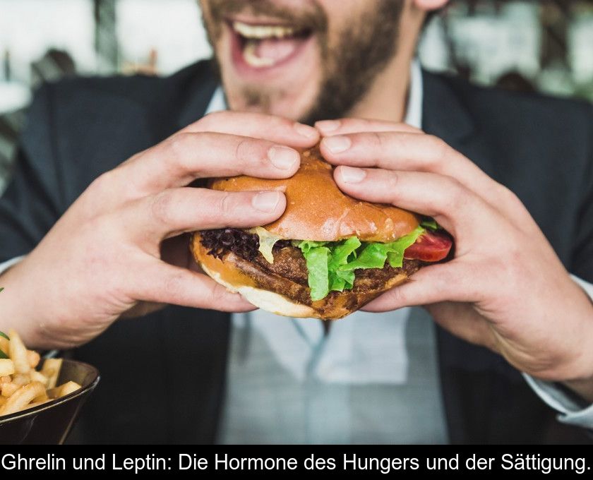 Ghrelin Und Leptin: Die Hormone Des Hungers Und Der Sättigung.