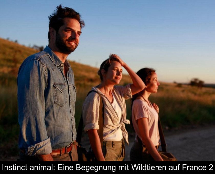 Instinct Animal: Eine Begegnung Mit Wildtieren Auf France 2