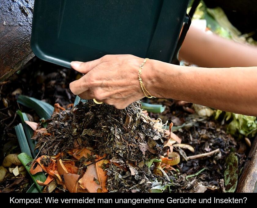 Kompost: Wie Vermeidet Man Unangenehme Gerüche Und Insekten?