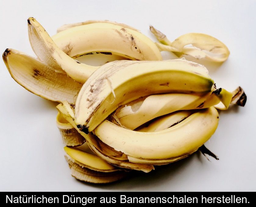 Natürlichen Dünger Aus Bananenschalen Herstellen.