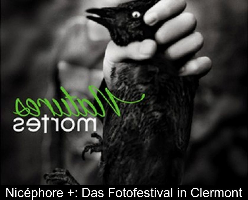 Nicéphore +: Das Fotofestival In Clermont