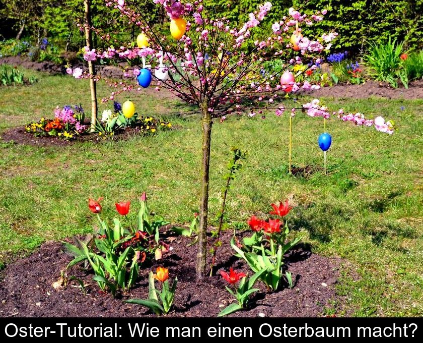 Oster-tutorial: Wie Man Einen Osterbaum Macht?