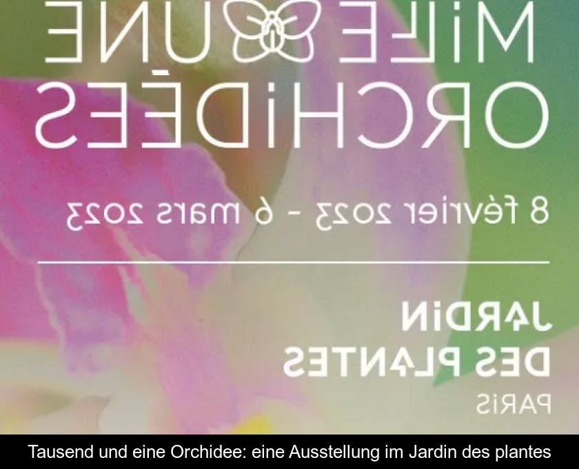 Tausend Und Eine Orchidee: Eine Ausstellung Im Jardin Des Plantes