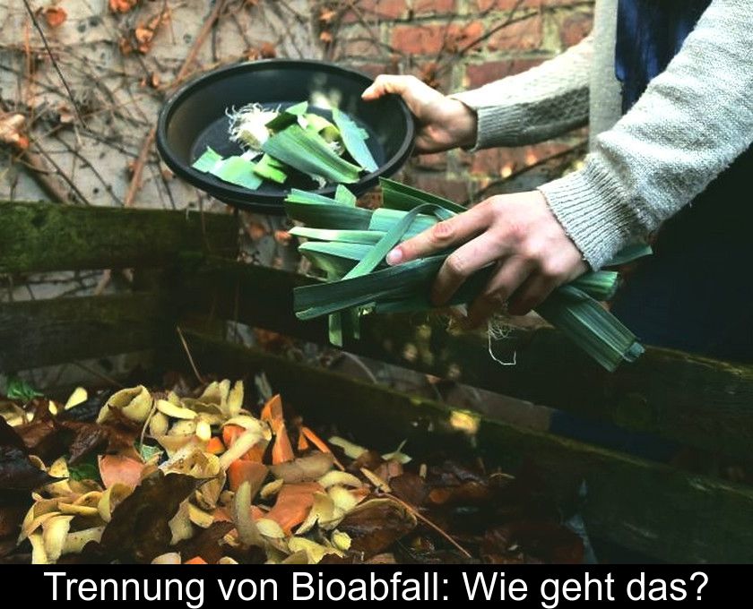 Trennung Von Bioabfall: Wie Geht Das?
