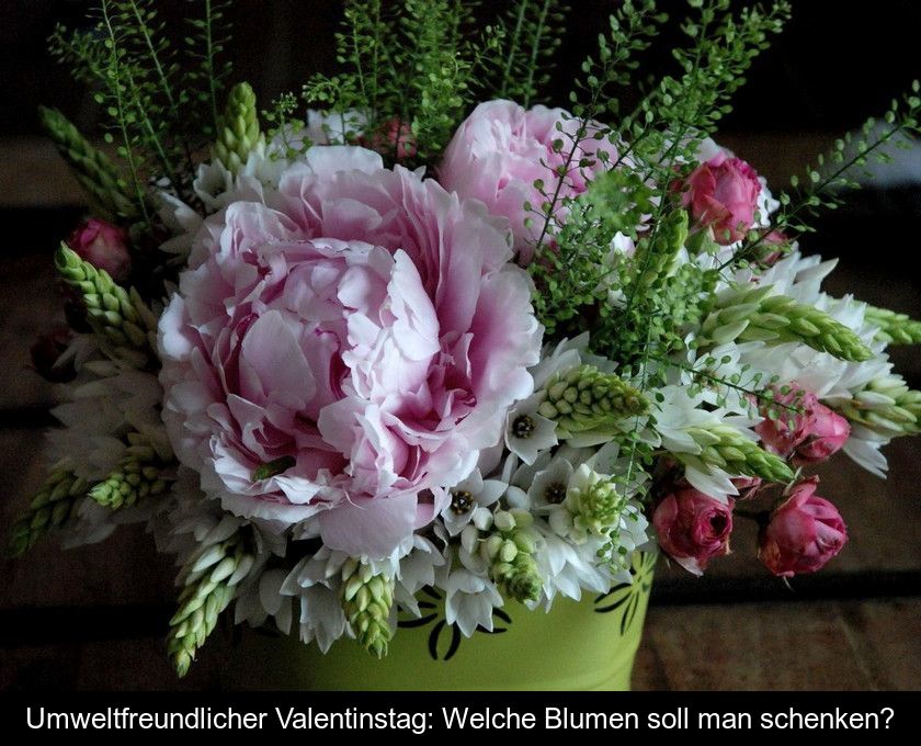 Umweltfreundlicher Valentinstag: Welche Blumen Soll Man Schenken?