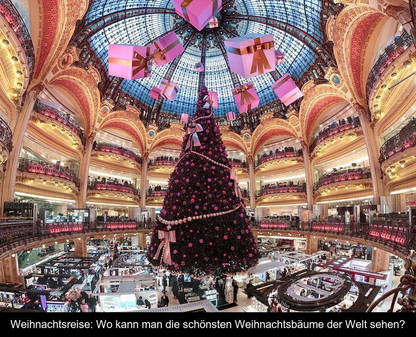 Weihnachtsreise: Wo Kann Man Die Schönsten Weihnachtsbäume Der Welt Sehen?