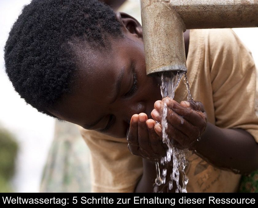 Weltwassertag: 5 Schritte Zur Erhaltung Dieser Ressource