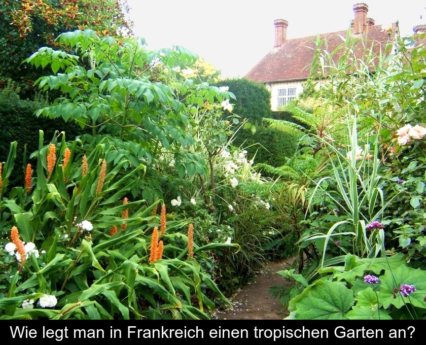 Wie Legt Man In Frankreich Einen Tropischen Garten An?