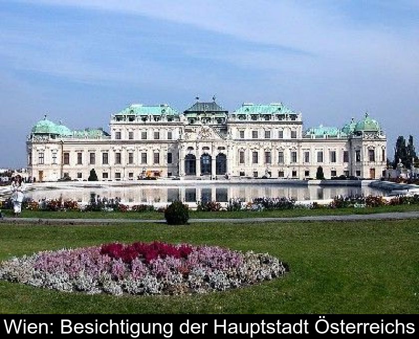 Wien: Besichtigung Der Hauptstadt Österreichs