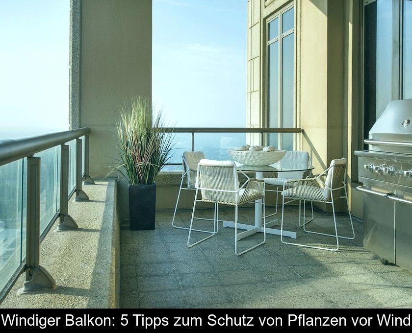 Windiger Balkon: 5 Tipps Zum Schutz Von Pflanzen Vor Wind