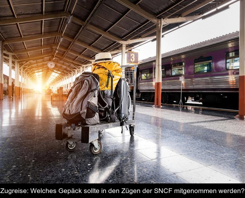 Zugreise: Welches Gepäck Sollte In Den Zügen Der Sncf Mitgenommen Werden?