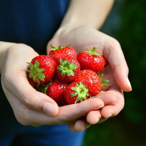 5 Vorteile von Erdbeeren für die Gesundheit