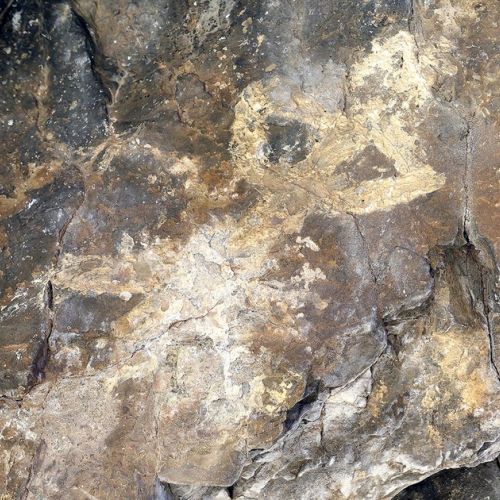 Alpes-Maritimes: Höhlenmalereien aus dem Neolithikum in Valdeblore entdeckt