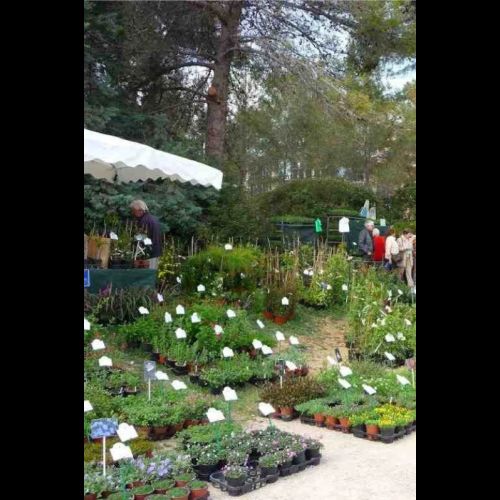 Das Gartenfest von Valbonne: Eine Messe für mediterrane Pflanzen.