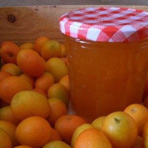 Die Kumquat-Marmelade: Ein einfaches Rezept.