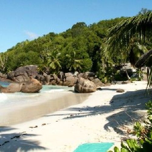 Die Seychellen: ein paradiesisches Reiseziel