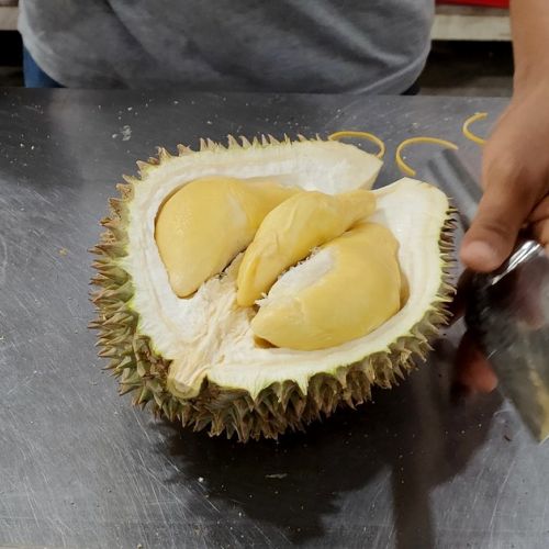Durian: 5 ungewöhnliche Fakten über diese exotische Frucht