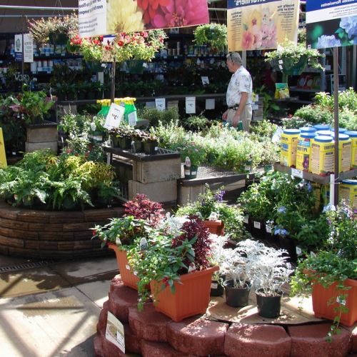 Einkaufen im Gartencenter: Wie wählt man die richtigen Pflanzen aus?