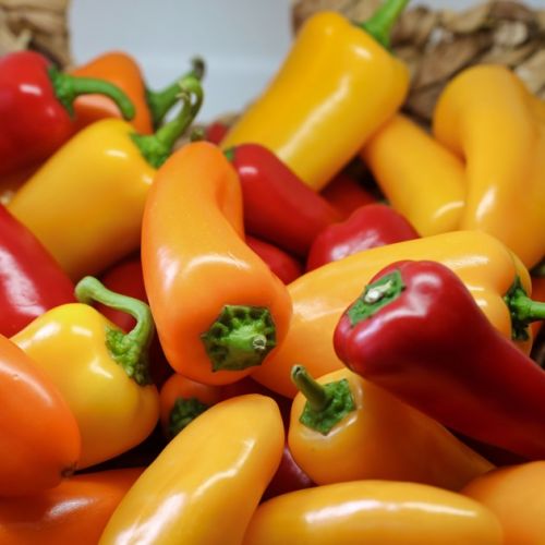 Garten: 5 kuriose Fakten über Paprika