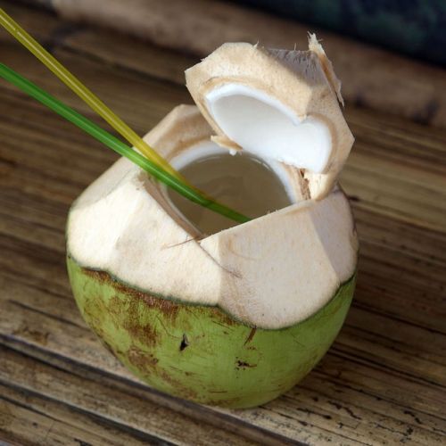 Kokosnusswasser: Welche Vorteile hat es?