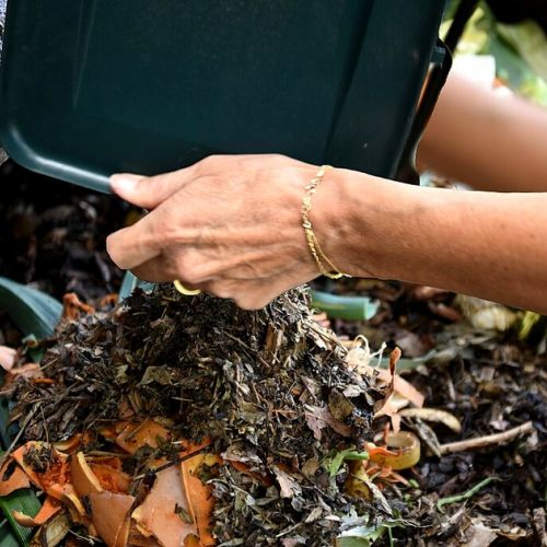 Kompost: Wie vermeidet man unangenehme Gerüche und Insekten?