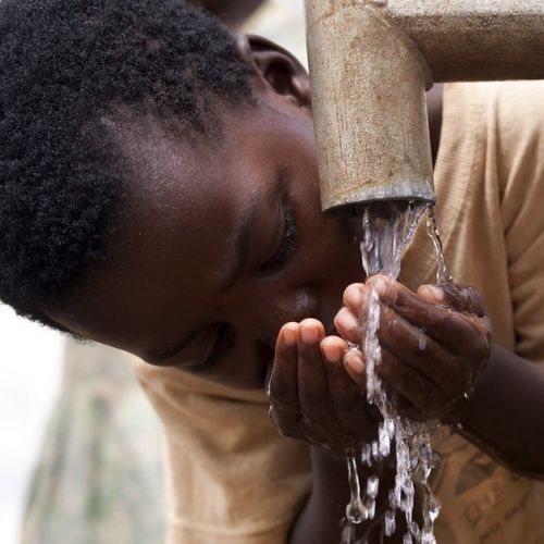 Weltwassertag: 5 Schritte zur Erhaltung dieser Ressource